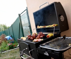 Gril na dřevěné uhlí ROYAL litinový rošt